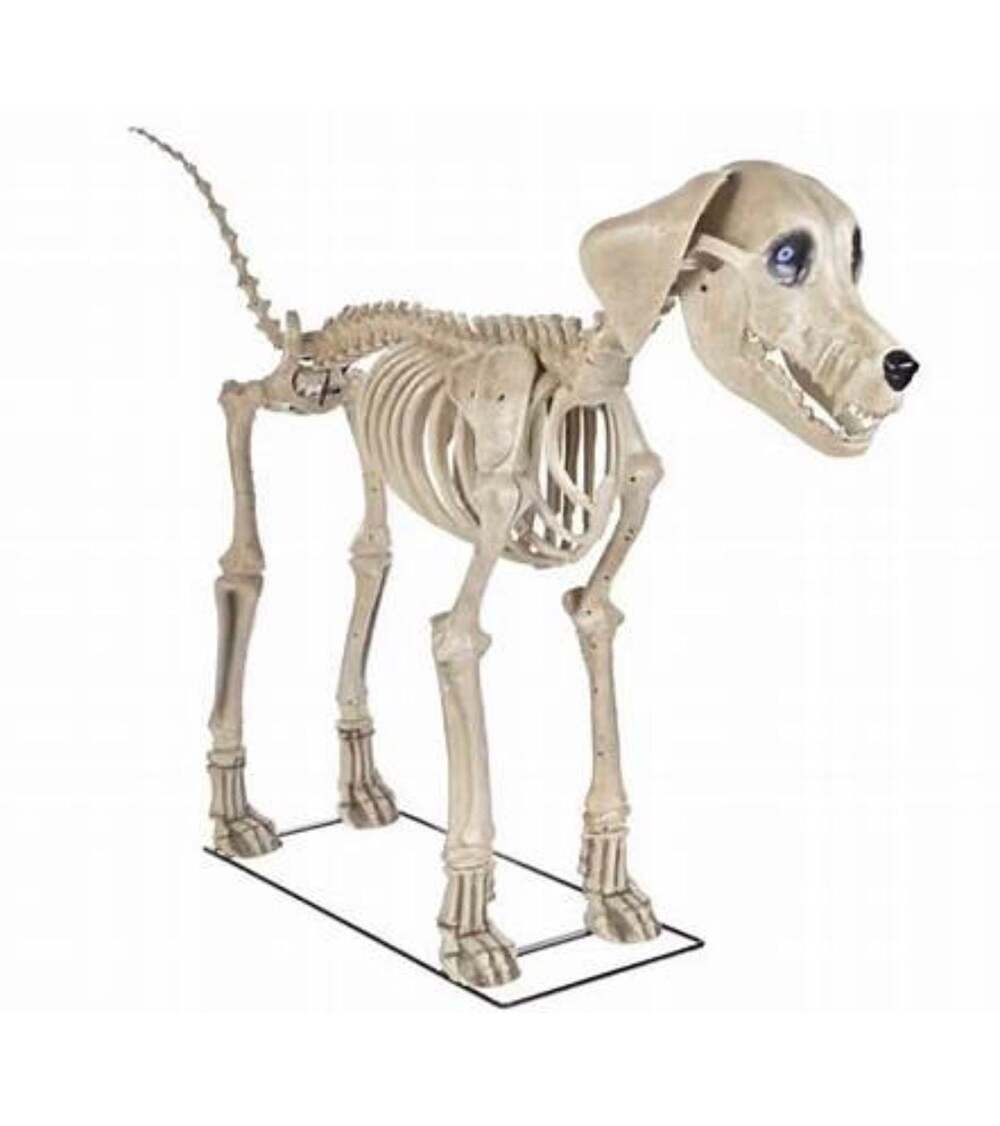 Home Accents Holiday 7 ft. Skelly's Dog Skeleton with LifeEyes LCD Eyes